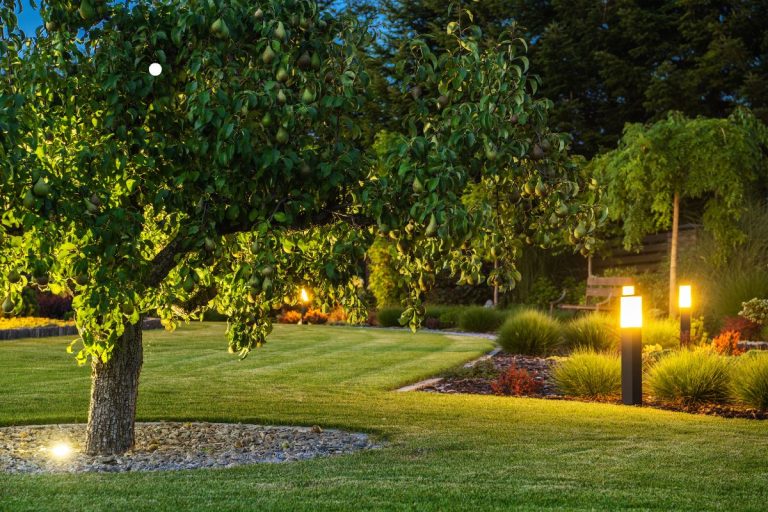 Outdoor Lighting